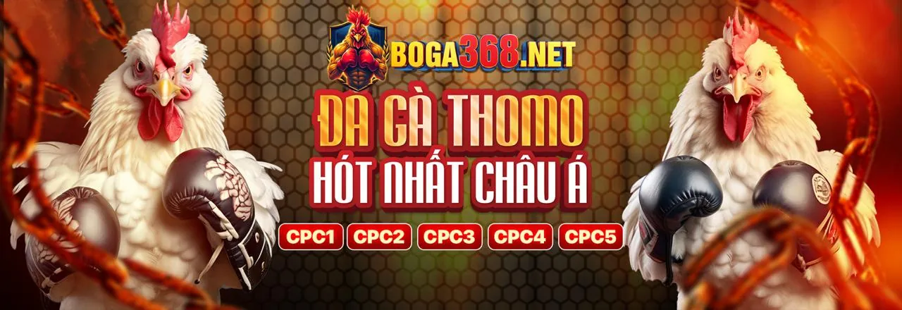 Các loại hình đá gà phổ biến tại WinVN11
